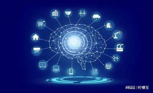 檸檬豆多元化蝶變——匯企播打通上下游產(chǎn)業(yè)鏈